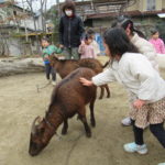 移動動物園　2月29日(木）